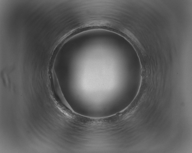 X0000073990834200608281312