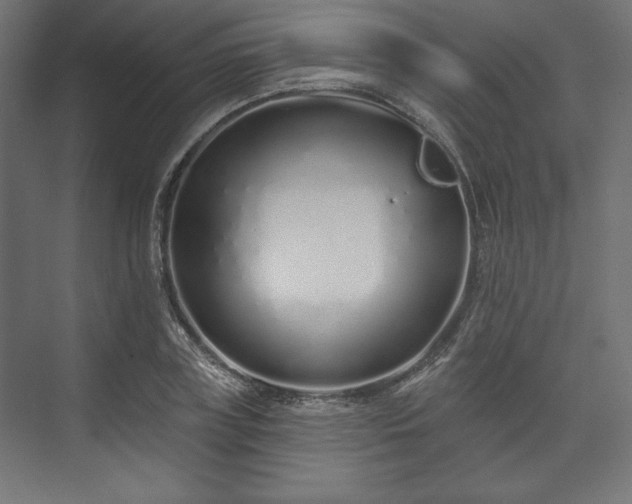 X0000073990835200608281312