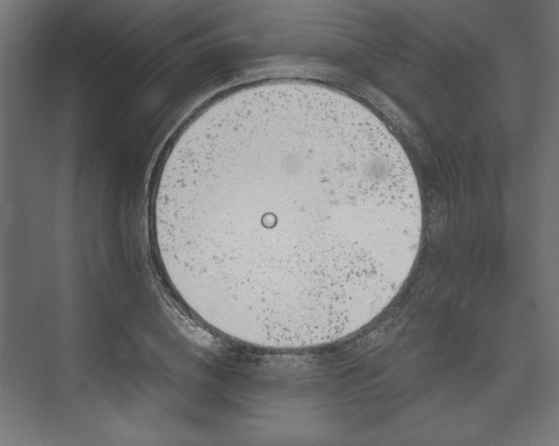 X0000073990836200608281312