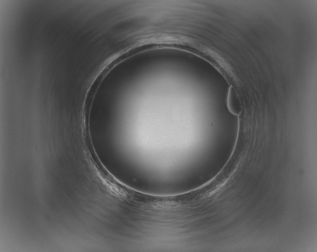 X0000073990837200608281312