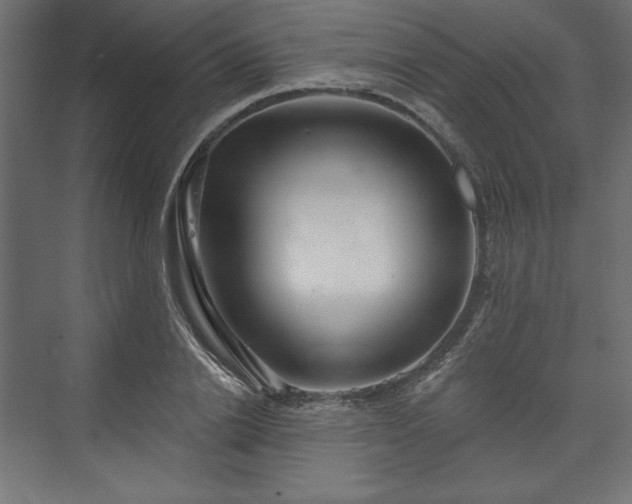 X0000073990838200608281312