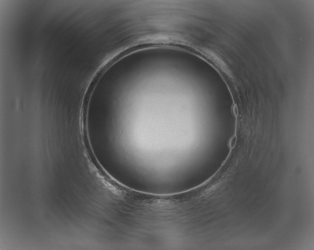 X0000073990839200608281312