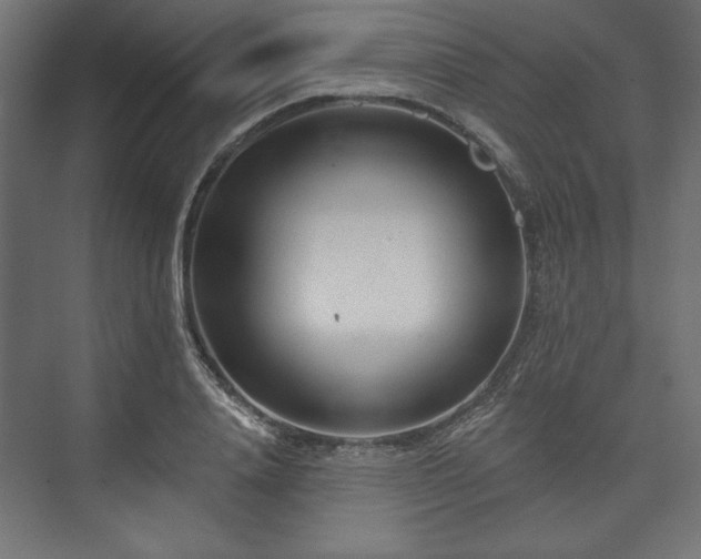 X0000073990840200608281312