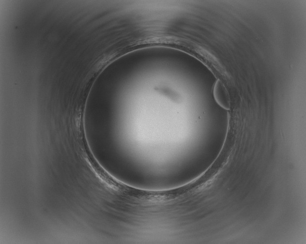 X0000073990841200608281312