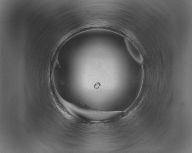 X0000073990842200608281312