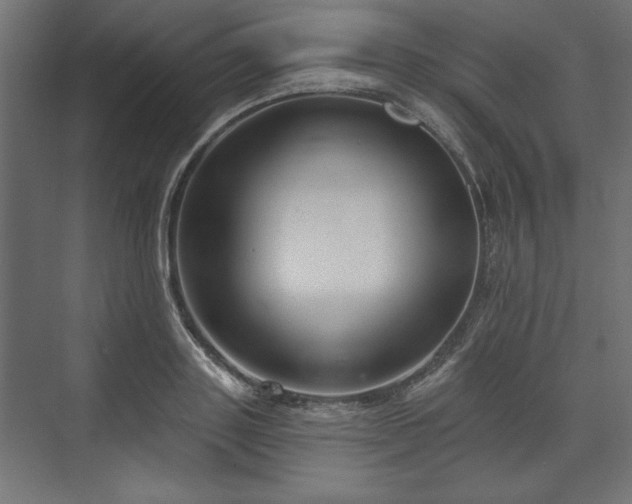 X0000073990843200608281312