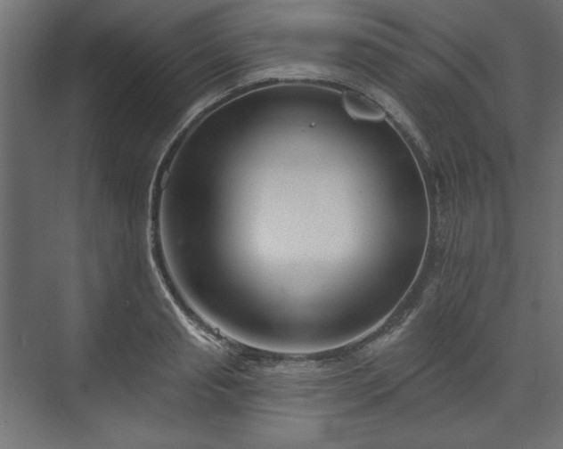 X0000073990845200608281312