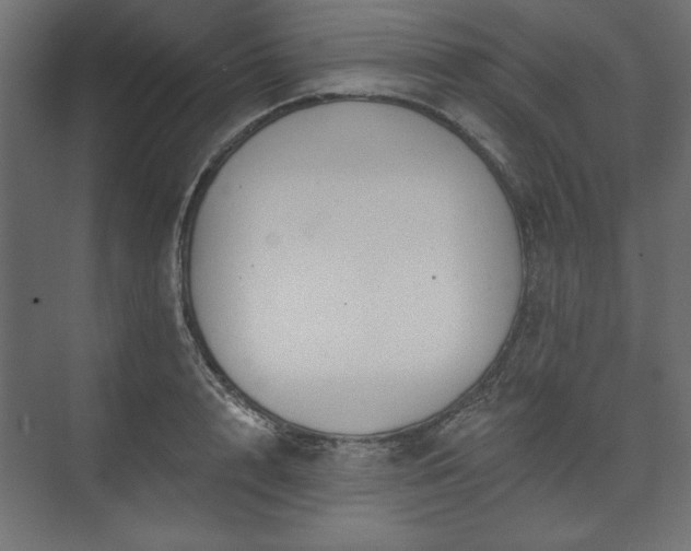 X0000073990848200608281312