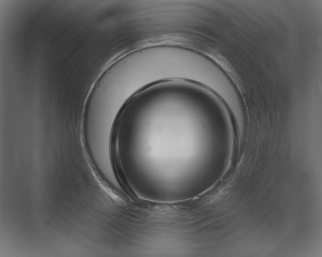 X0000073990850200608281312