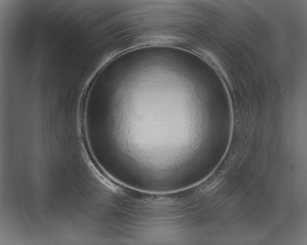 X0000073990851200608281312