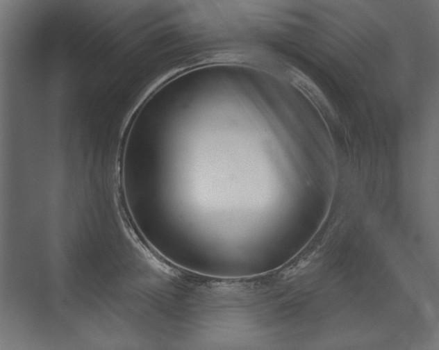 X0000073990852200608281312