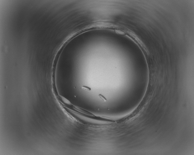 X0000073990853200608281312