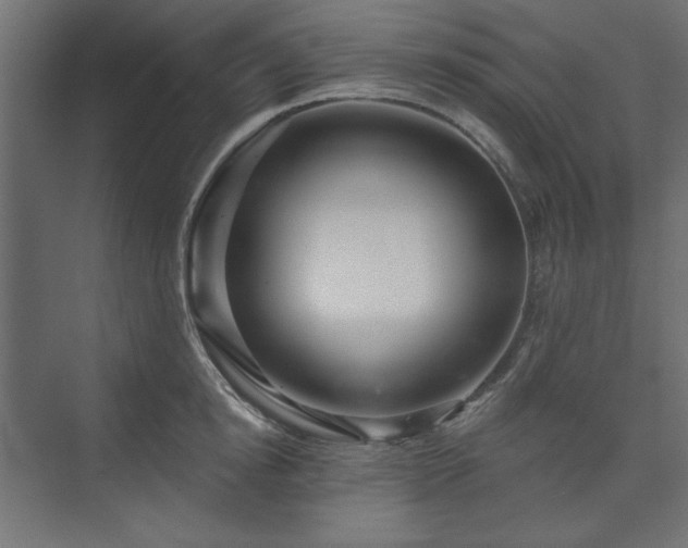 X0000073990854200608281312