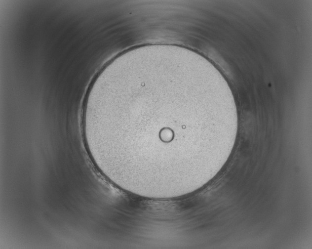 X0000073990856200608281312