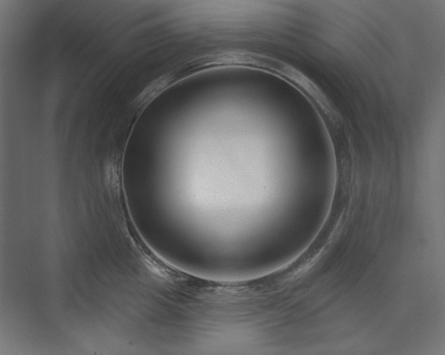 X0000073990857200608281312