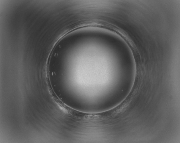 X0000073990858200608281312