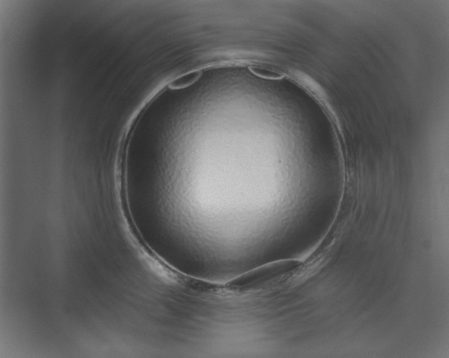 X0000073990859200608281312