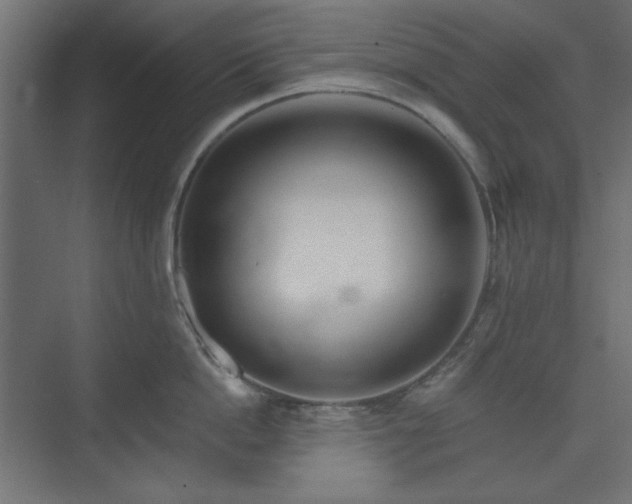 X0000073990862200608281312