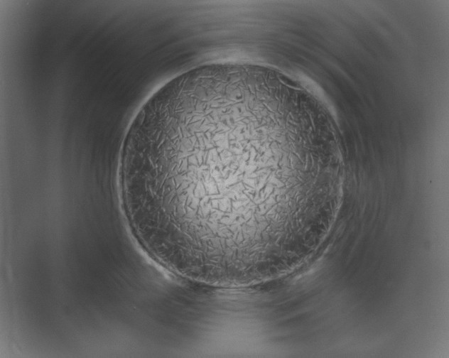 X0000073990863200608281312