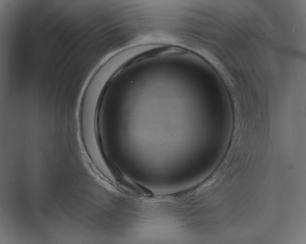 X0000073990864200608281312