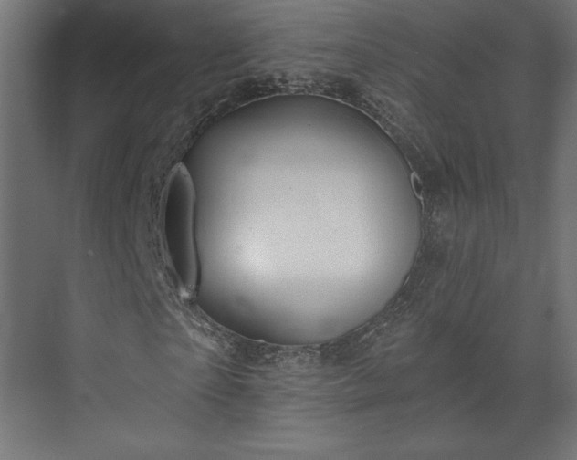 X0000073990865200608281311