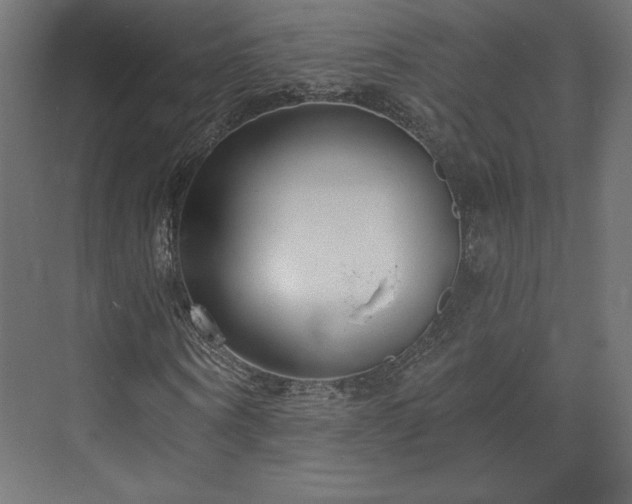 X0000073990866200608281311