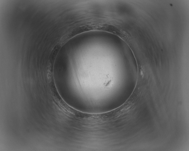 X0000073990867200608281311