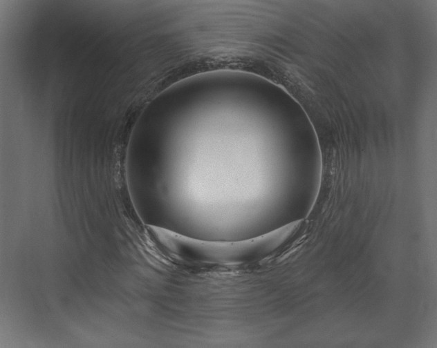 X0000073990868200608281311