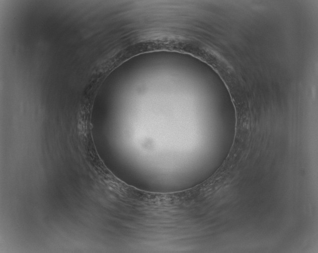 X0000073990869200608281311