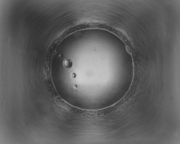 X0000073990871200608281311