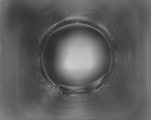 X0000073990872200608281311