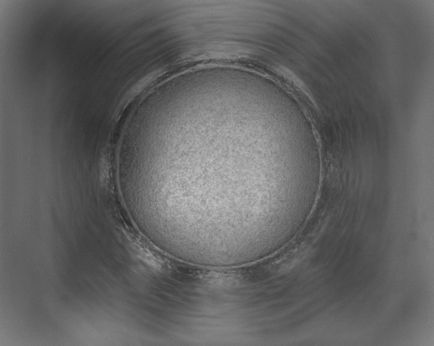 X0000073990874200608281311