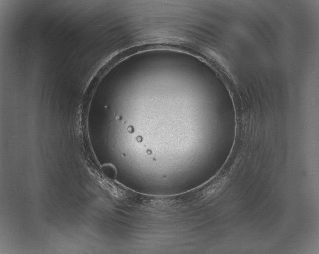 X0000073990875200608281311