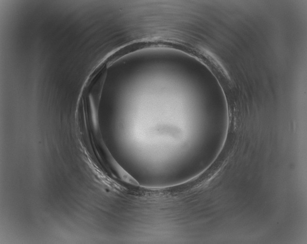 X0000073990876200608281311