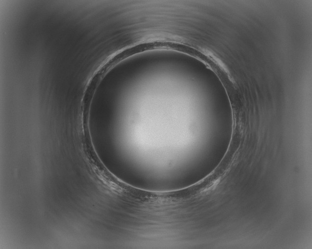 X0000073990877200608281311