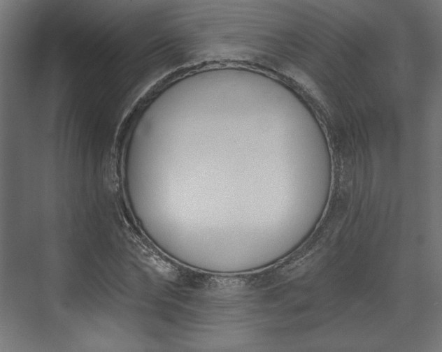 X0000073990878200608281311