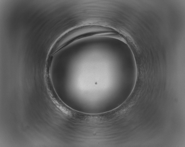 X0000073990880200608281311