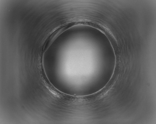 X0000073990881200608281311