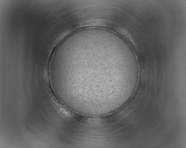 X0000073990882200608281311