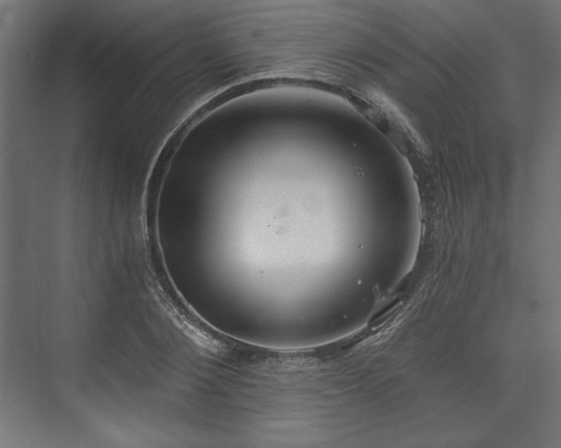 X0000073990884200608281311