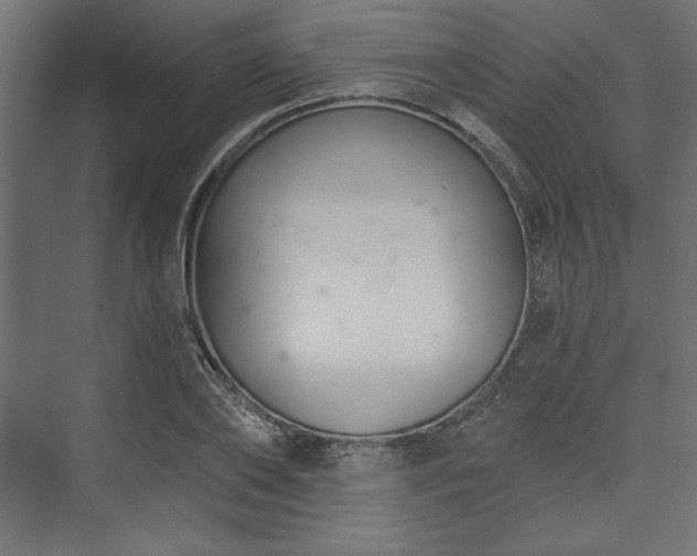 X0000073990886200608281311