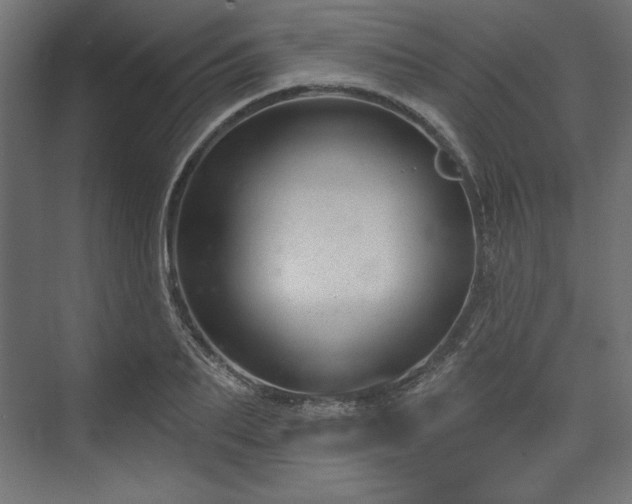 X0000073990887200608281311