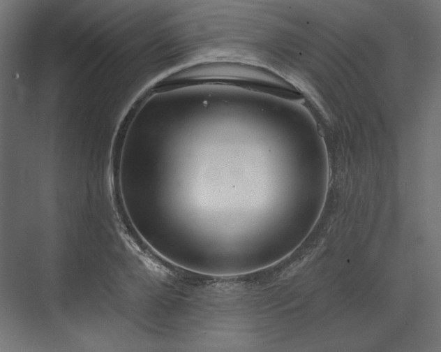 X0000073990888200608281311