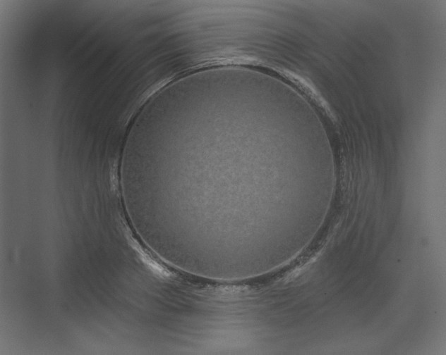 X0000073990889200608281311