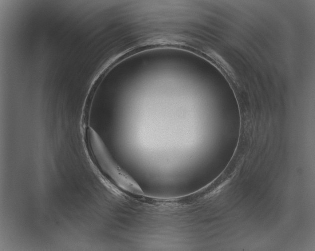 X0000073990893200608281311