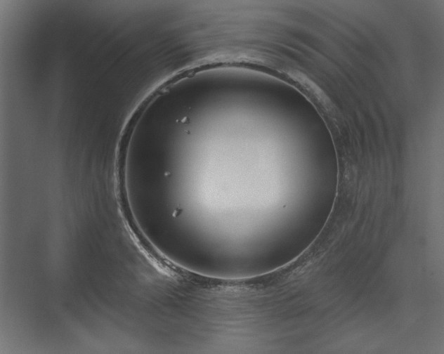 X0000073990894200608281311