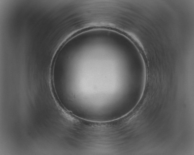 X0000073990895200608281311