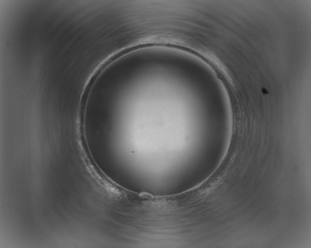 X0000073990896200608281311