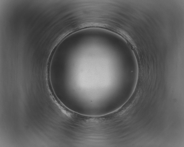 X0000073990898200608281311