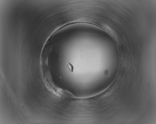 X0000073990900200608281311